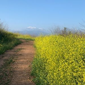 Meet your Posher, April